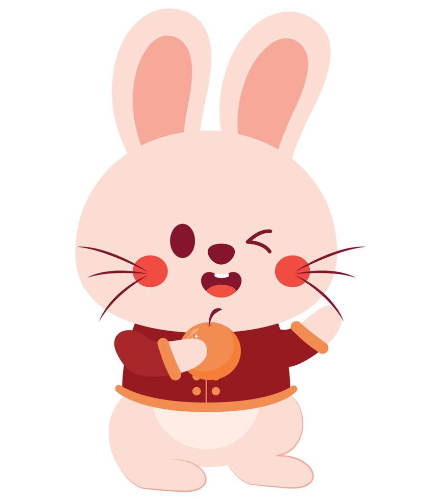 cute chinese bunny vector