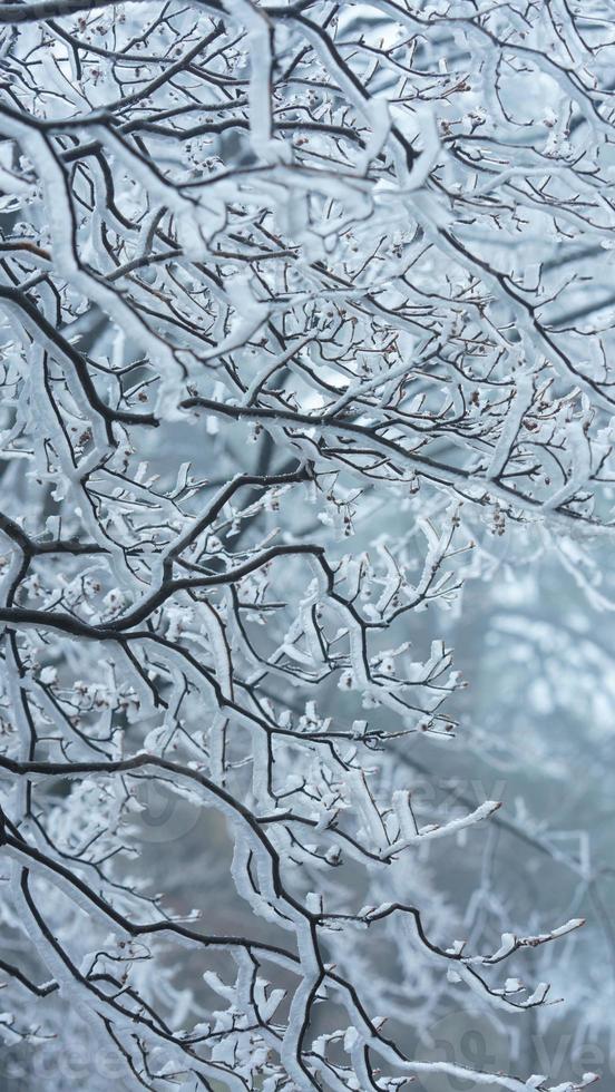 The beautiful frozen mountains view coverd by the white snow and ice in winter photo