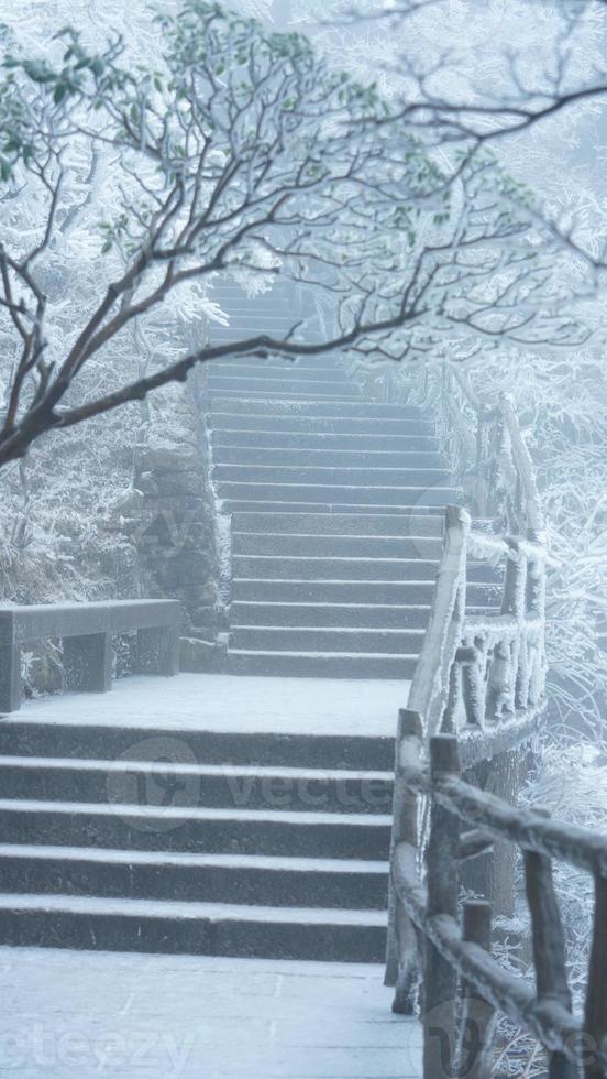 el hermosa congelado montañas ver cubierto por el blanco nieve y hielo en invierno foto