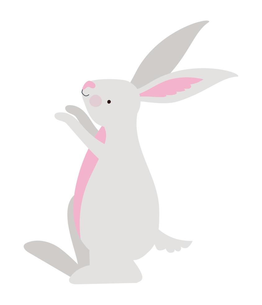 happy bunny illustration vector