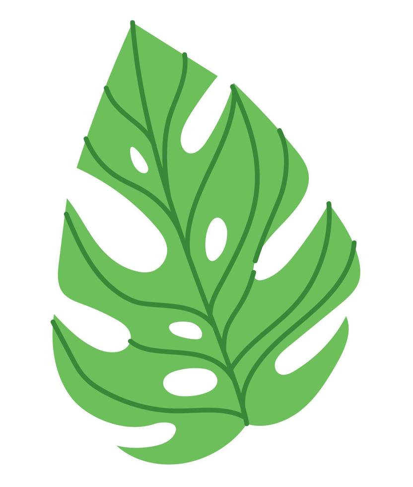 tropical leaf illustration vector
