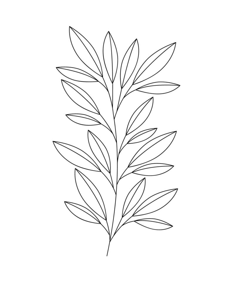 pretty plant branch vector