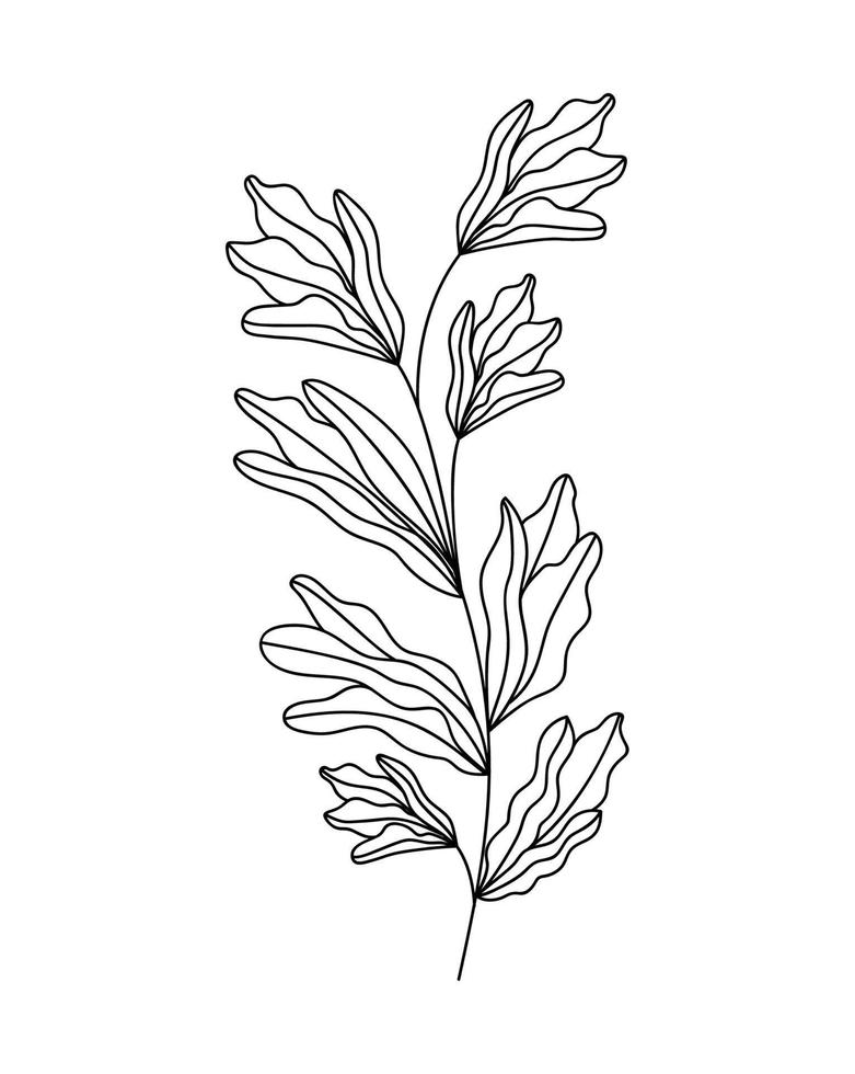 plant branch image vector