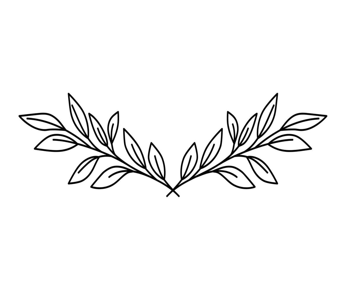 leafs branches design vector