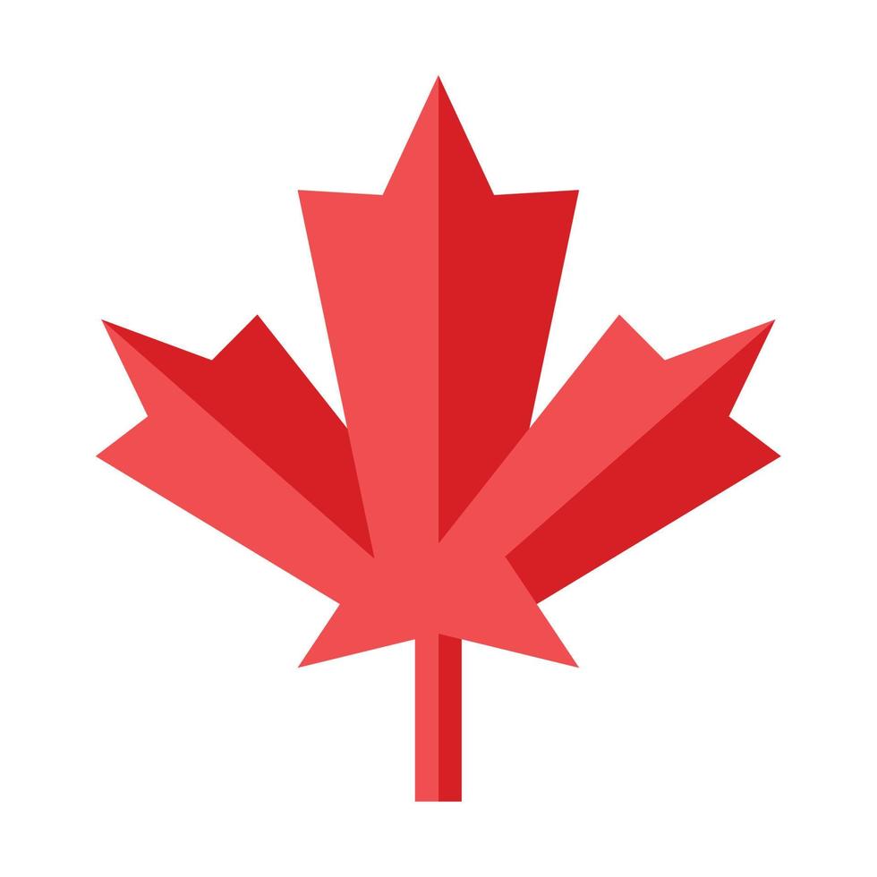 maple leaf design vector