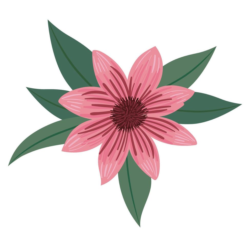 pink flower with leaves vector