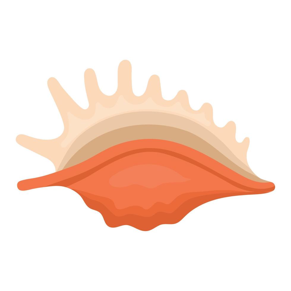 cute seashell design vector