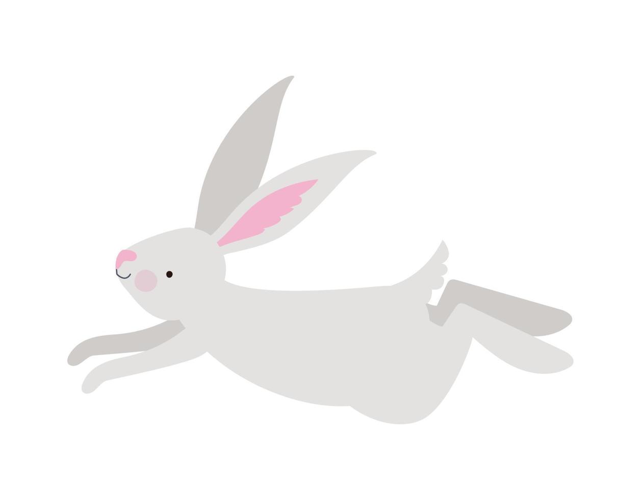 cute bunny design vector