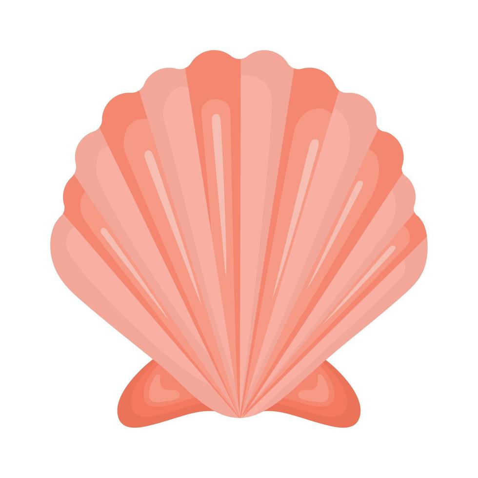 pink seashell design vector