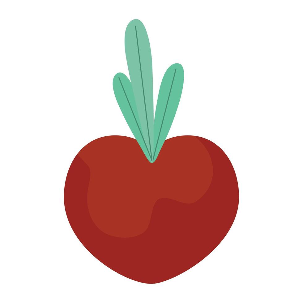 red turnip design vector