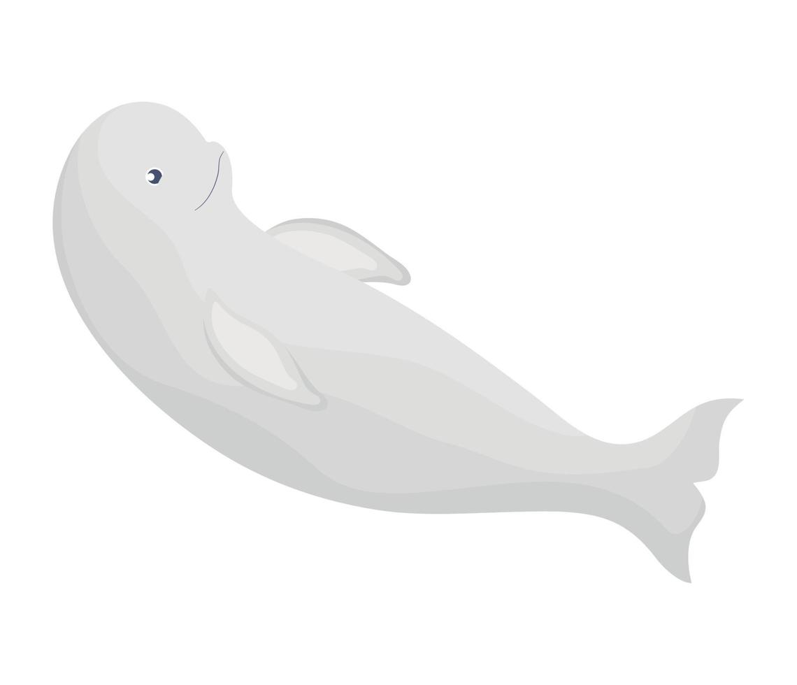 colored beluga design vector