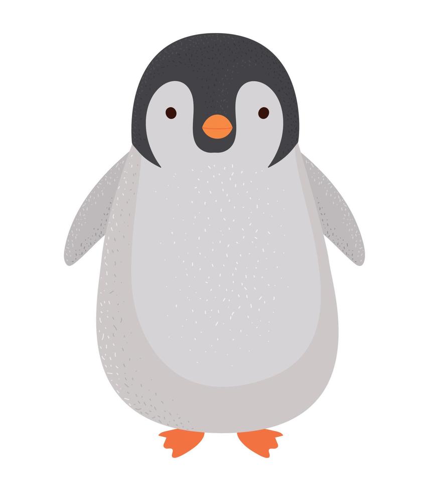 colored penguin design vector