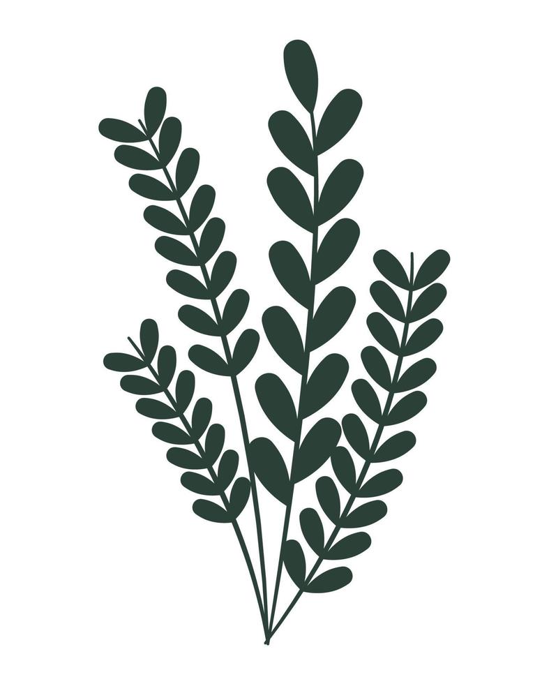 plant branches design vector