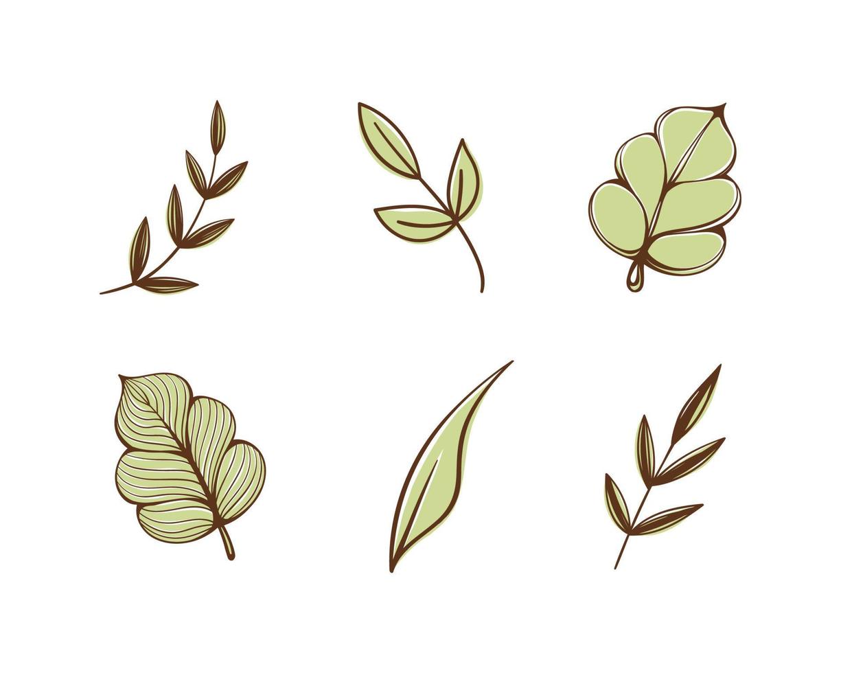 Set of cute floral botanical abstract leaves and branches. Boho doodle vector illustrations.