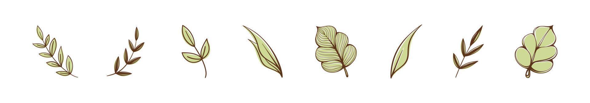 Set of cute floral botanical abstract leaves and branches. Boho doodle vector illustrations.