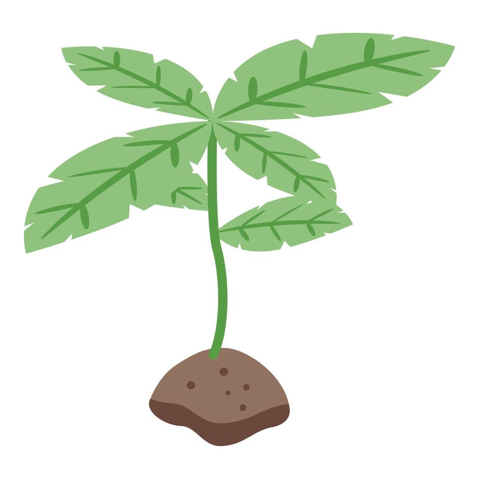 Basil plant icon isometric vector. Fresh herb vector