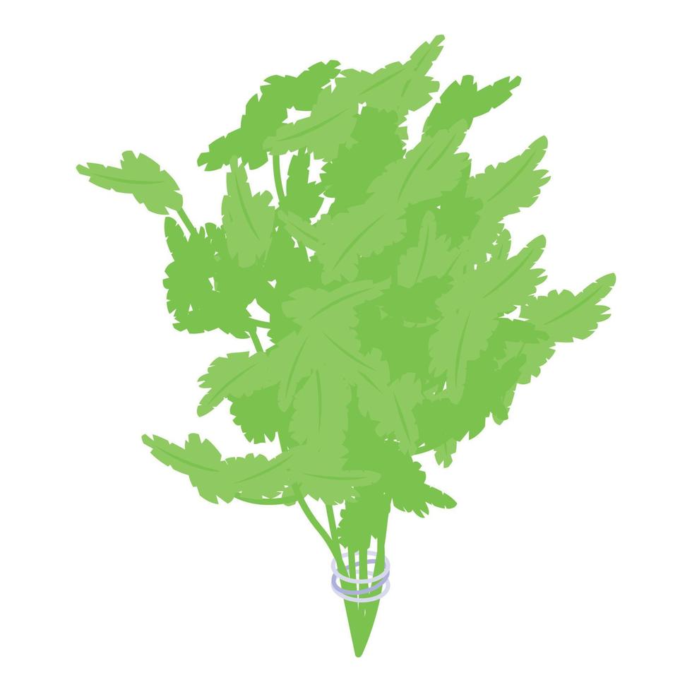 Eco parsley icon isometric vector. Nature food vector