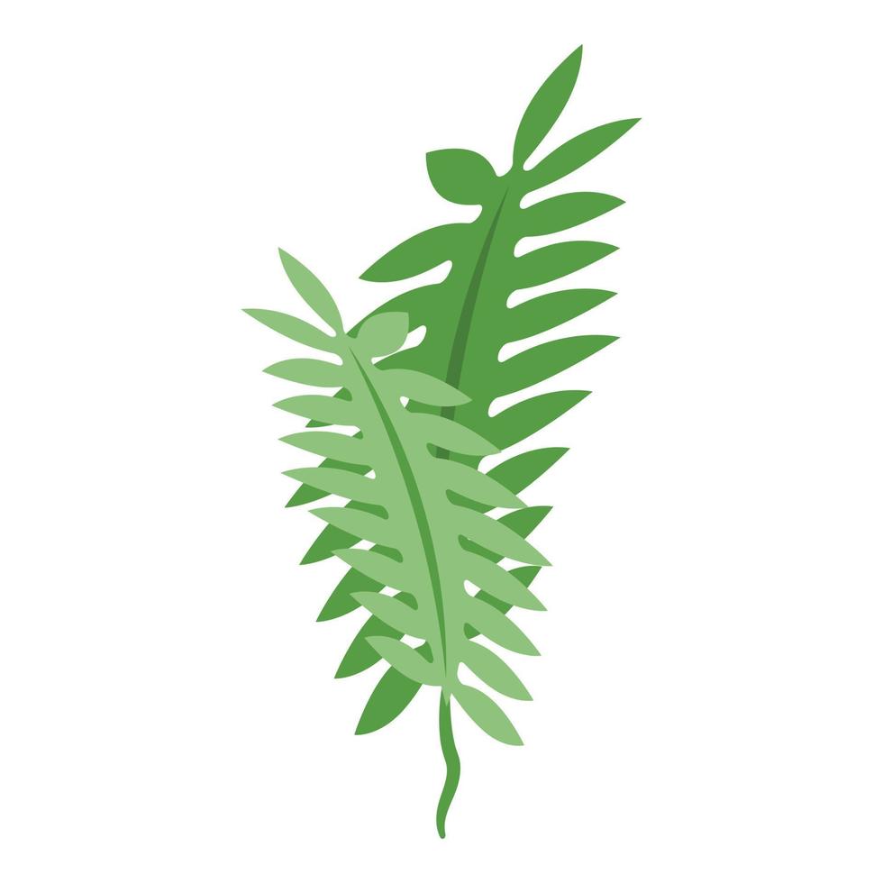 Marine seaweed icon isometric vector. Alga plant vector