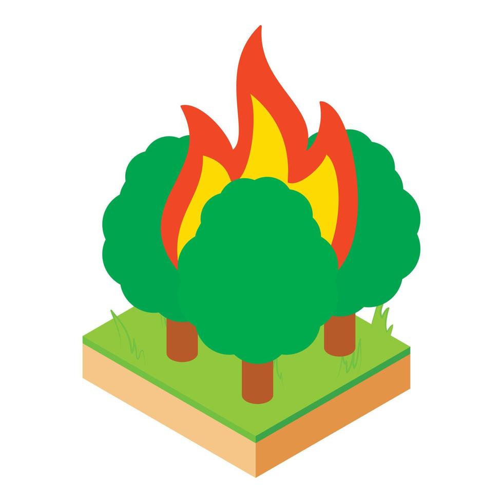 bosque fuego icono isométrica vector. ardiente verde caduco árbol en tierra trama vector