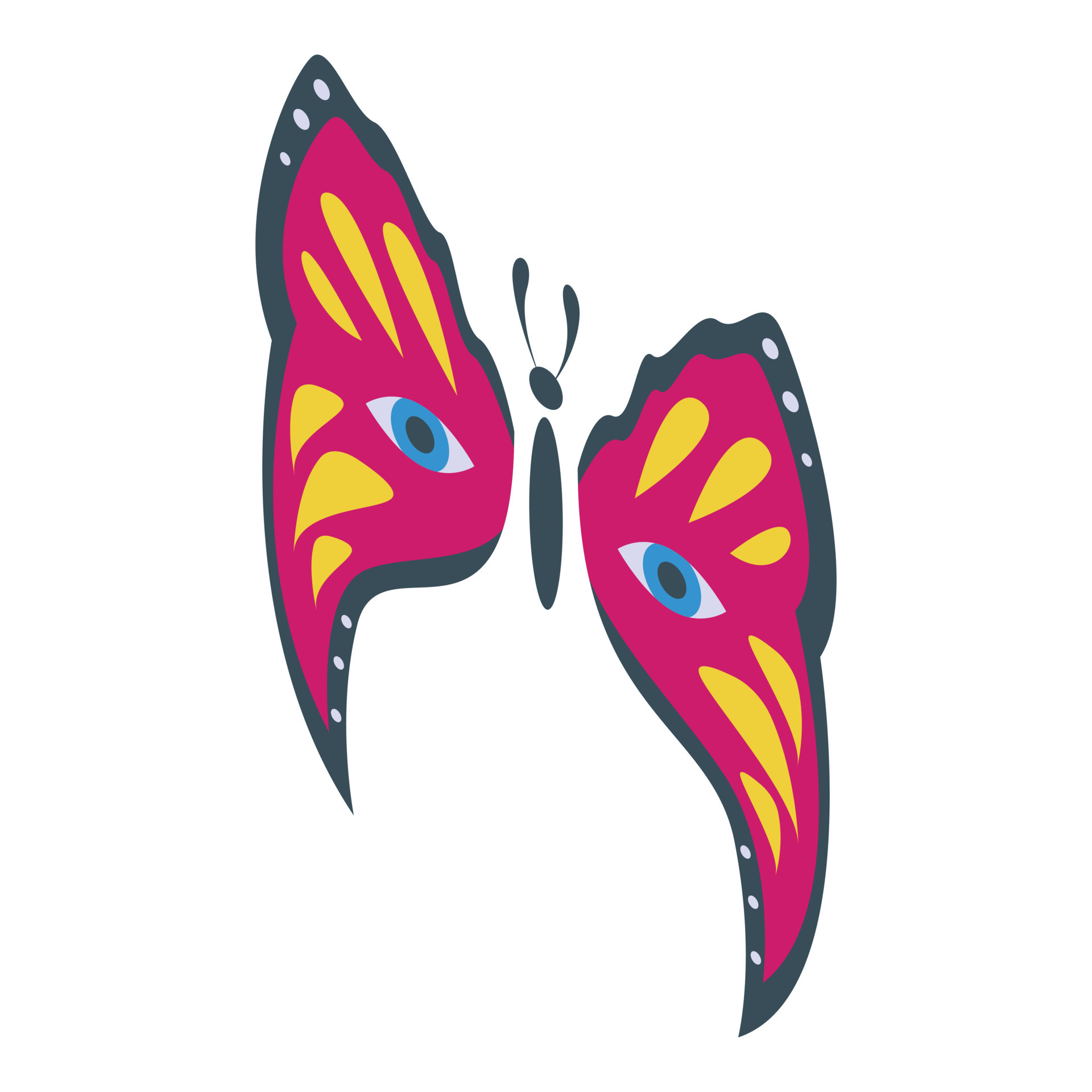 Butterfly face painting icon isometric vector. Paint kid 21408879