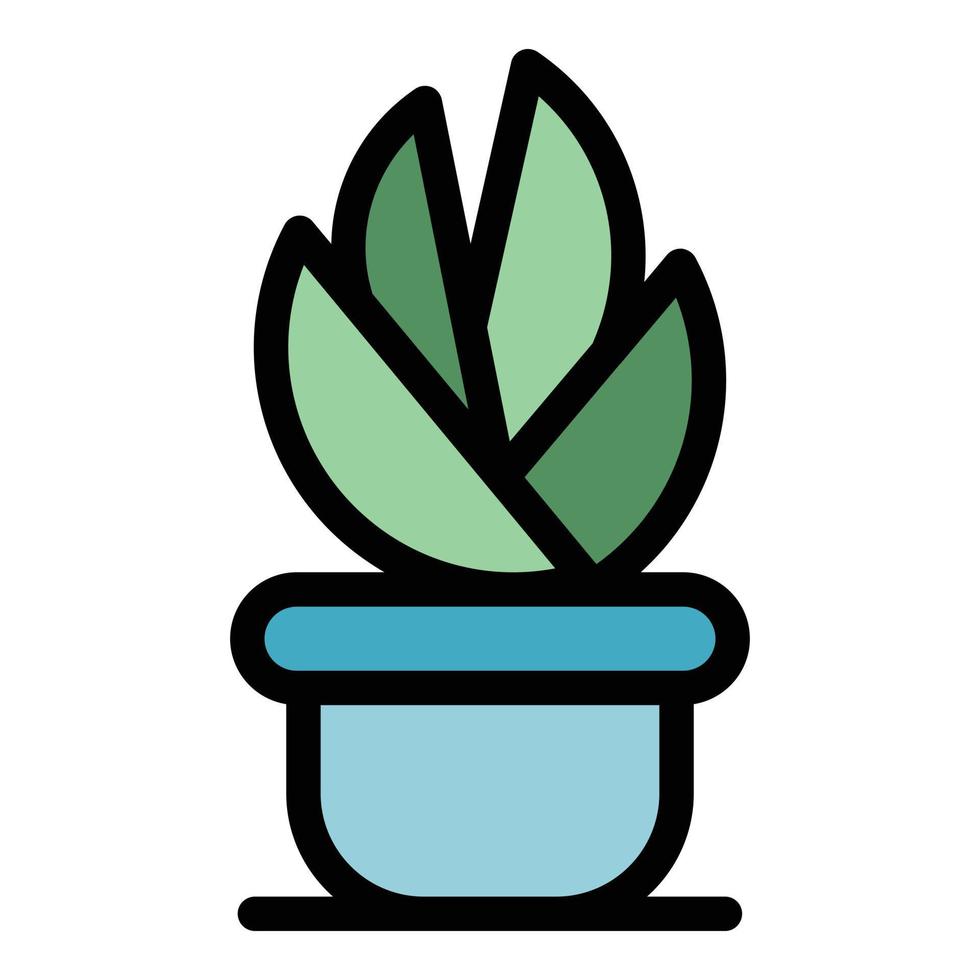 Succulent plant pot icon vector flat