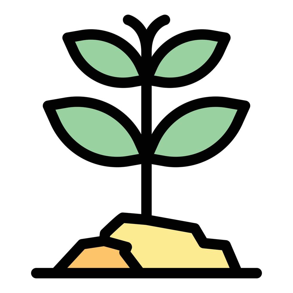 Herbal plant icon vector flat