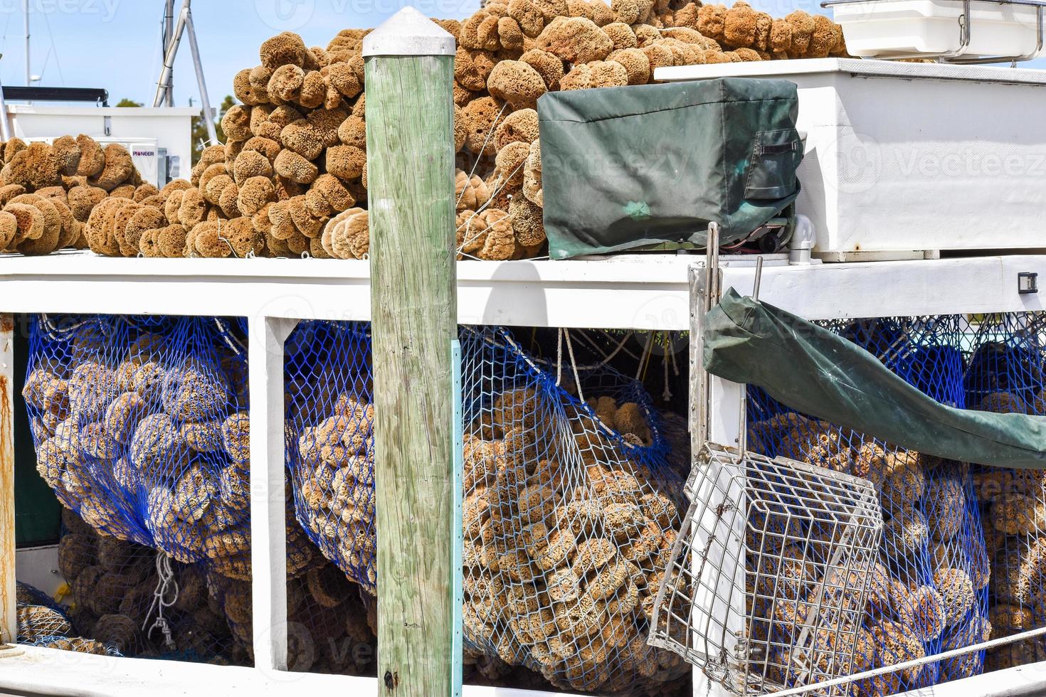 Sponge Boats In Tarpon Springs Florida photo