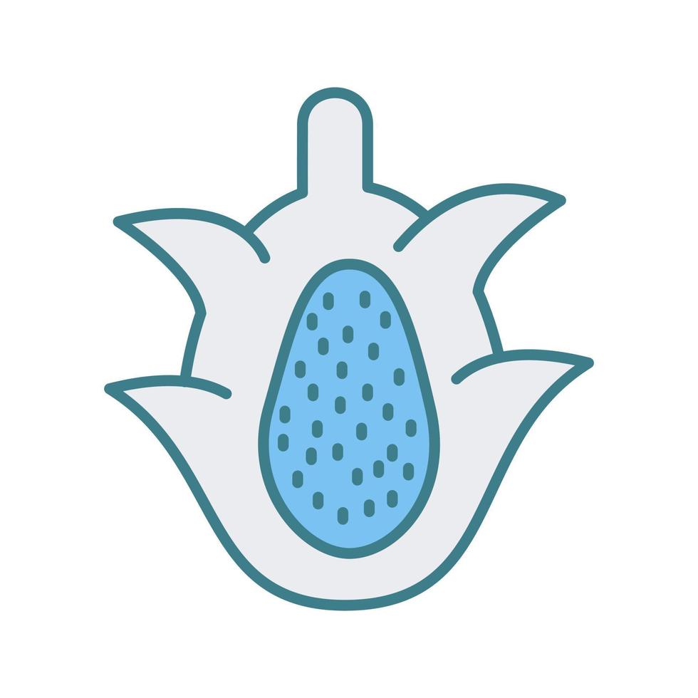 Dragon Fruit Vector Icon