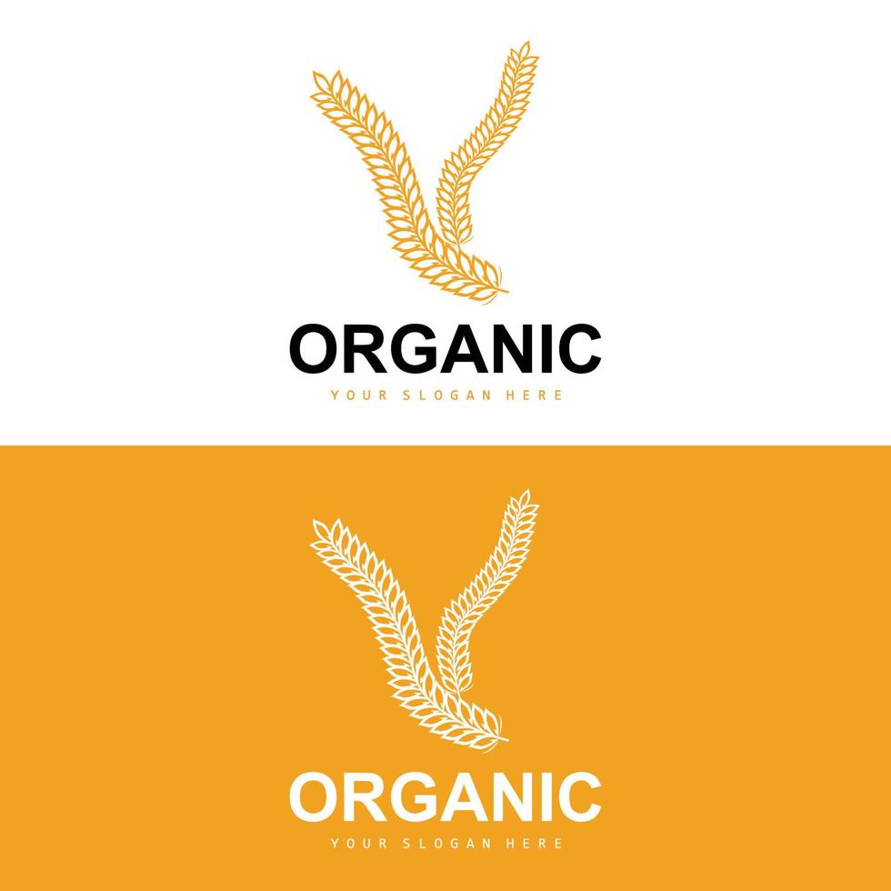 Wheat Rice Logo, Agricultural Organic Plants Vector, Luxury Design Golden Bakery Ingredients vector