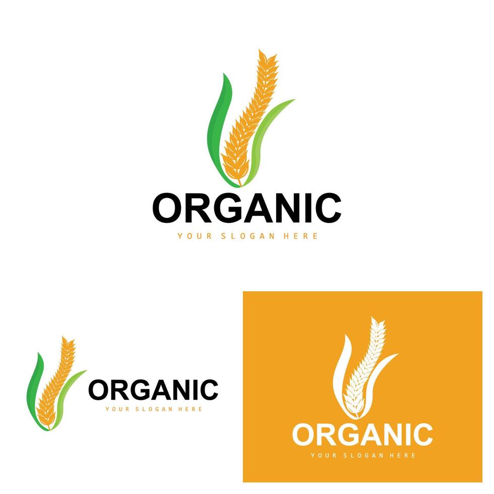 trigo arroz logo, agrícola orgánico plantas vector, lujo diseño dorado panadería ingredientes vector