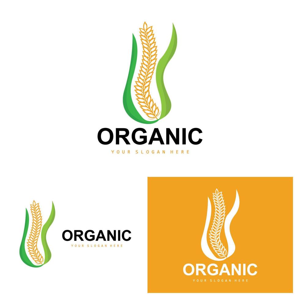 trigo arroz logo, agrícola orgánico plantas vector, lujo diseño dorado panadería ingredientes vector