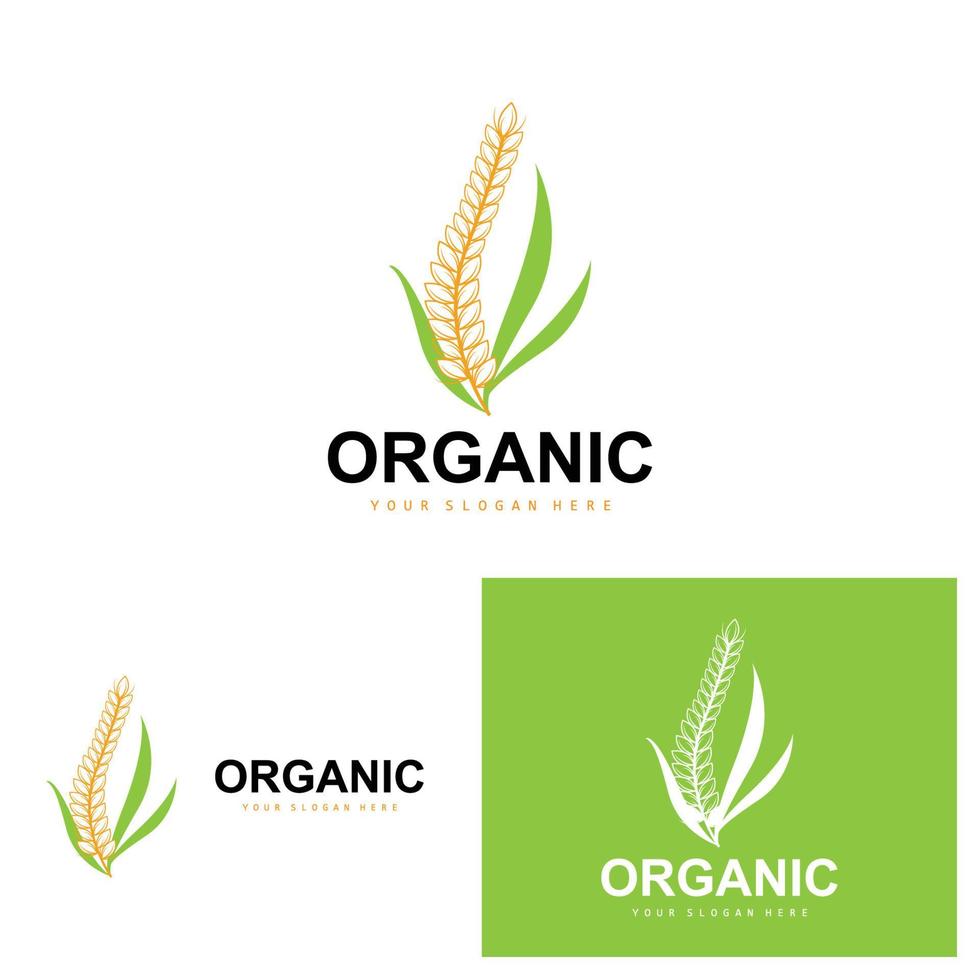 Wheat Rice Logo, Agricultural Organic Plants Vector, Luxury Design Golden Bakery Ingredients vector