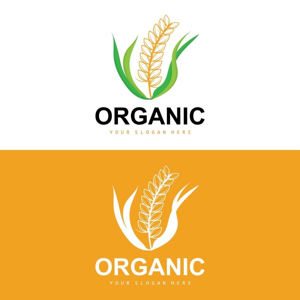 Wheat Rice Logo, Agricultural Organic Plants Vector, Luxury Design Golden Bakery Ingredients vector