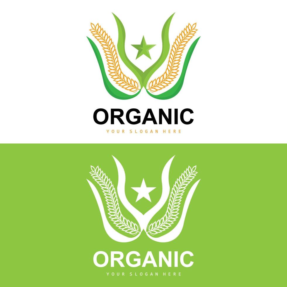 Wheat Rice Logo, Agricultural Organic Plants Vector, Luxury Design Golden Bakery Ingredients vector