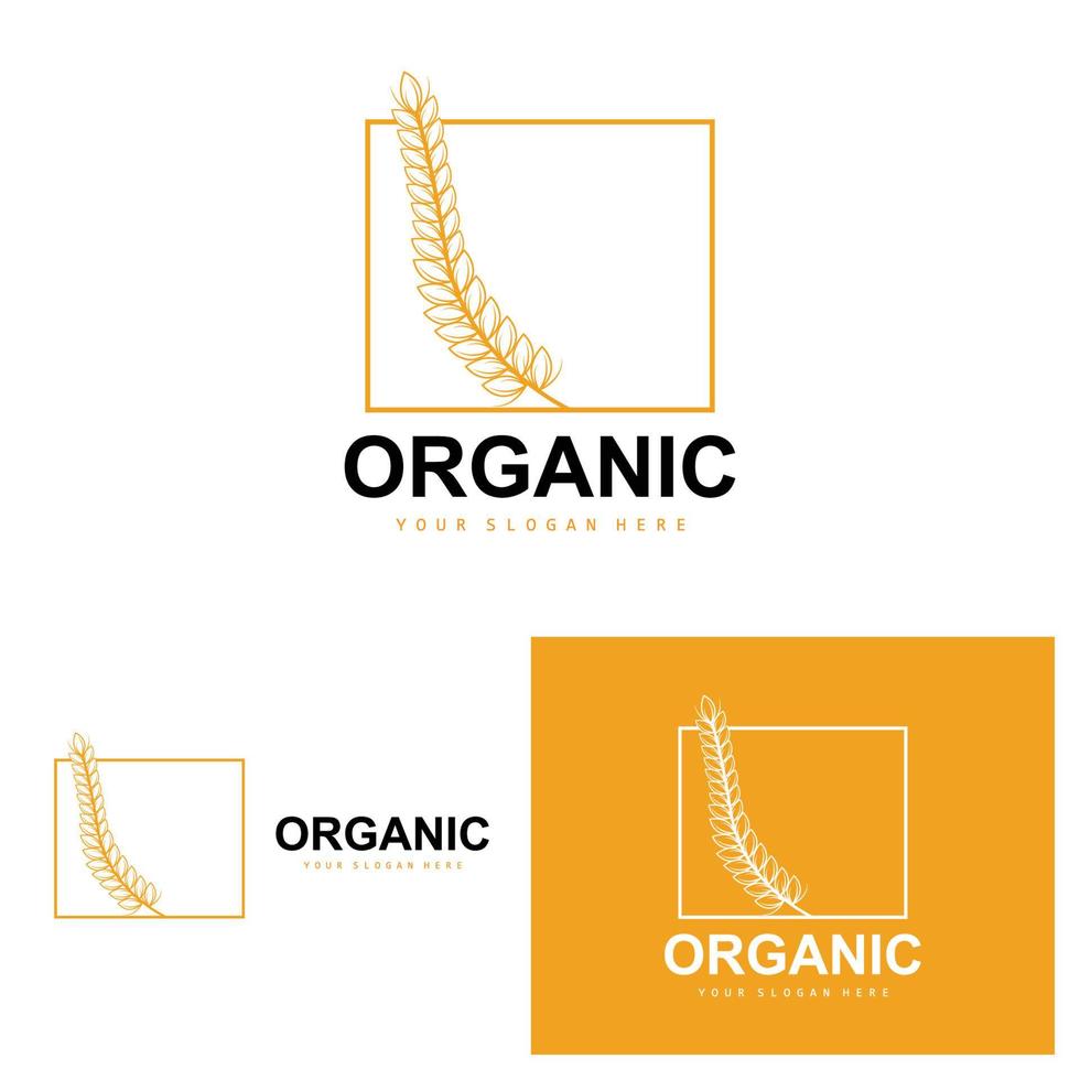 trigo arroz logo, agrícola orgánico plantas vector, lujo diseño dorado panadería ingredientes vector