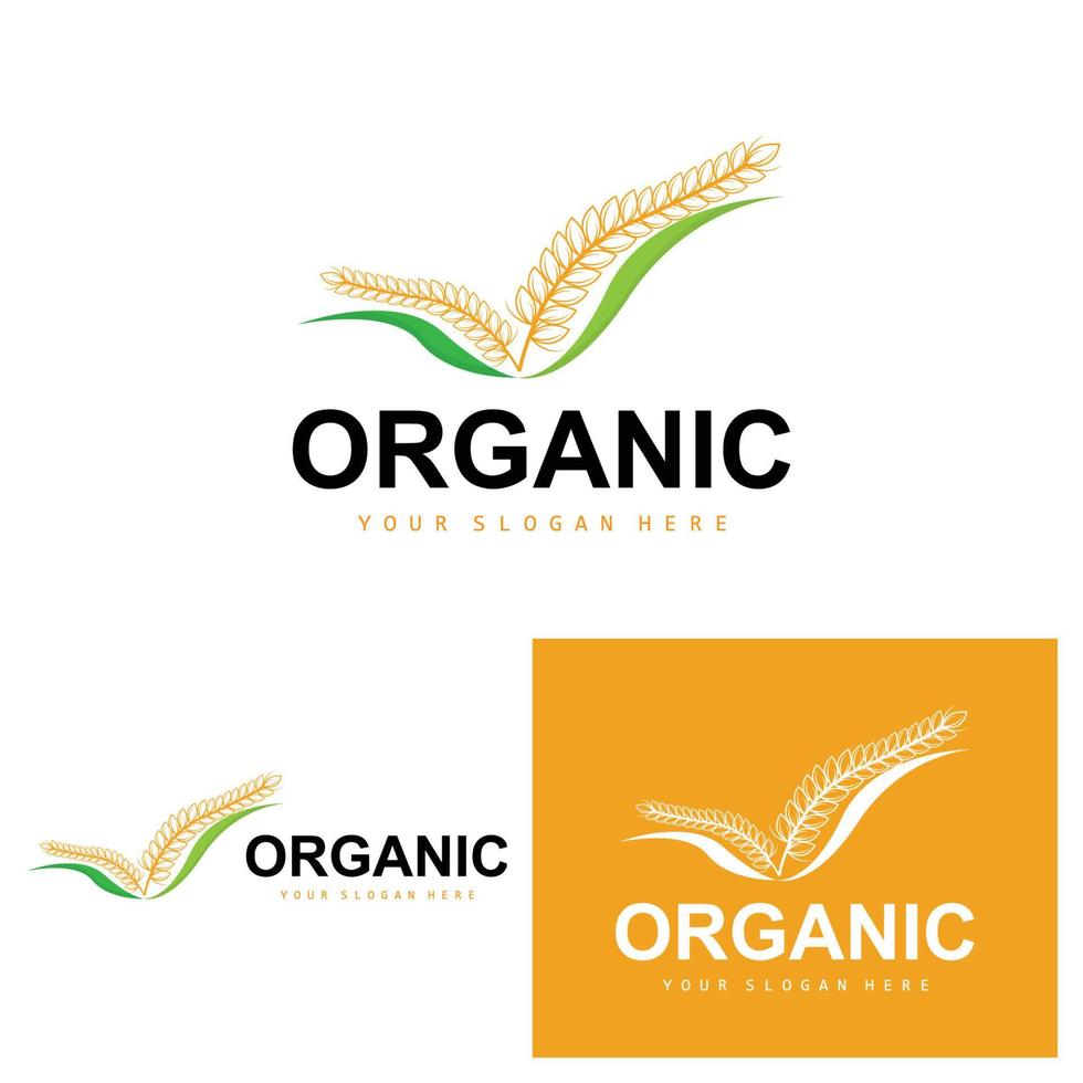 Wheat Rice Logo, Agricultural Organic Plants Vector, Luxury Design Golden Bakery Ingredients vector