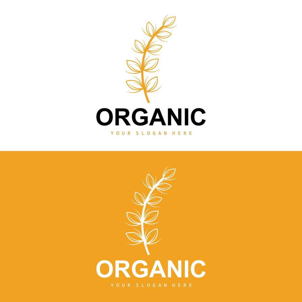 Wheat Rice Logo, Agricultural Organic Plants Vector, Luxury Design Golden Bakery Ingredients vector