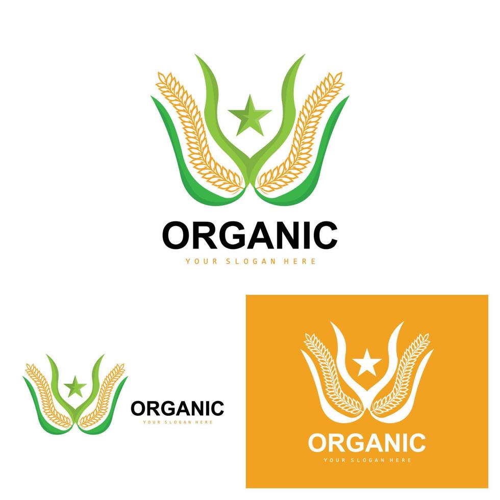 Wheat Rice Logo, Agricultural Organic Plants Vector, Luxury Design Golden Bakery Ingredients vector