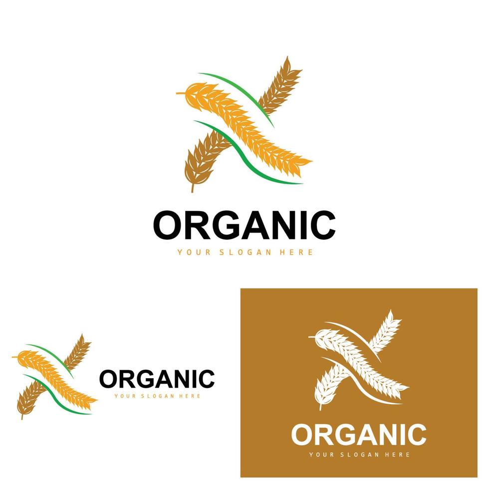 Wheat Rice Logo, Agricultural Organic Plants Vector, Luxury Design Golden Bakery Ingredients vector