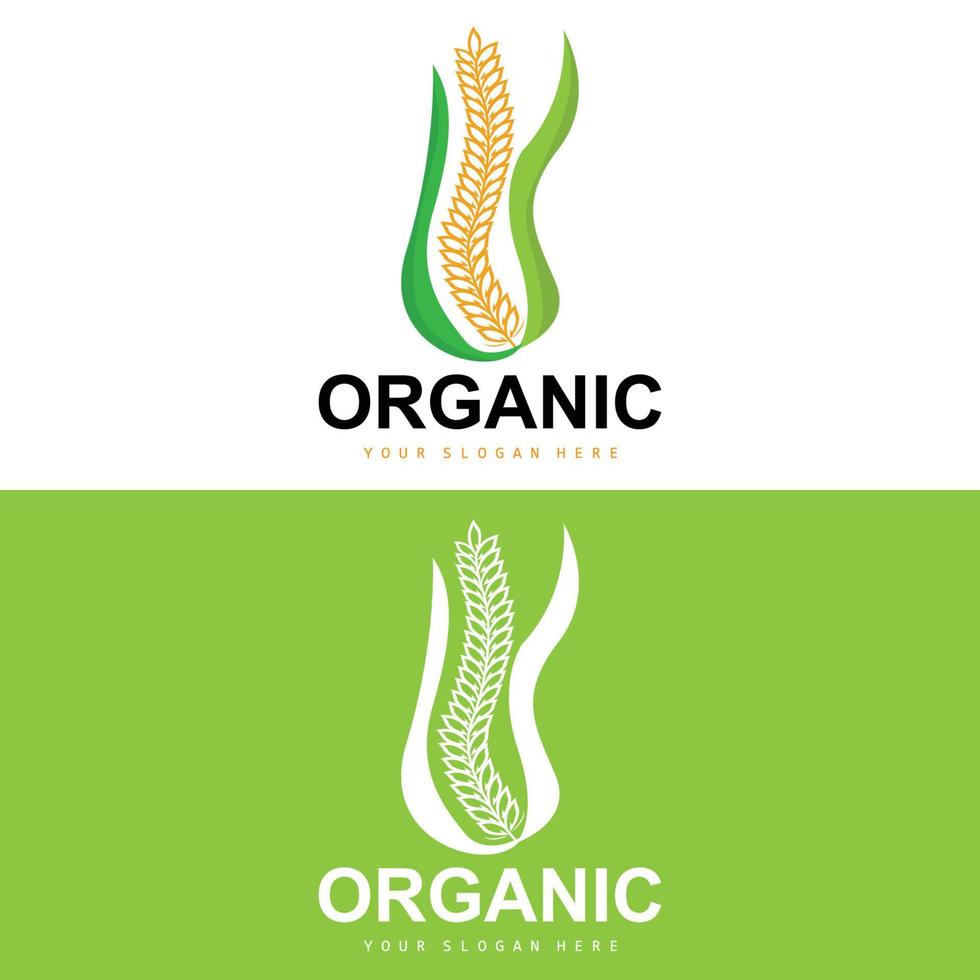 Wheat Rice Logo, Agricultural Organic Plants Vector, Luxury Design Golden Bakery Ingredients vector