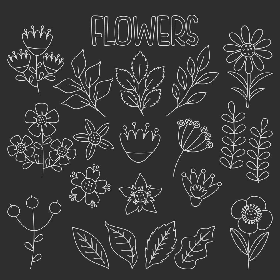 línea Arte dibujo de flores y plantas vector