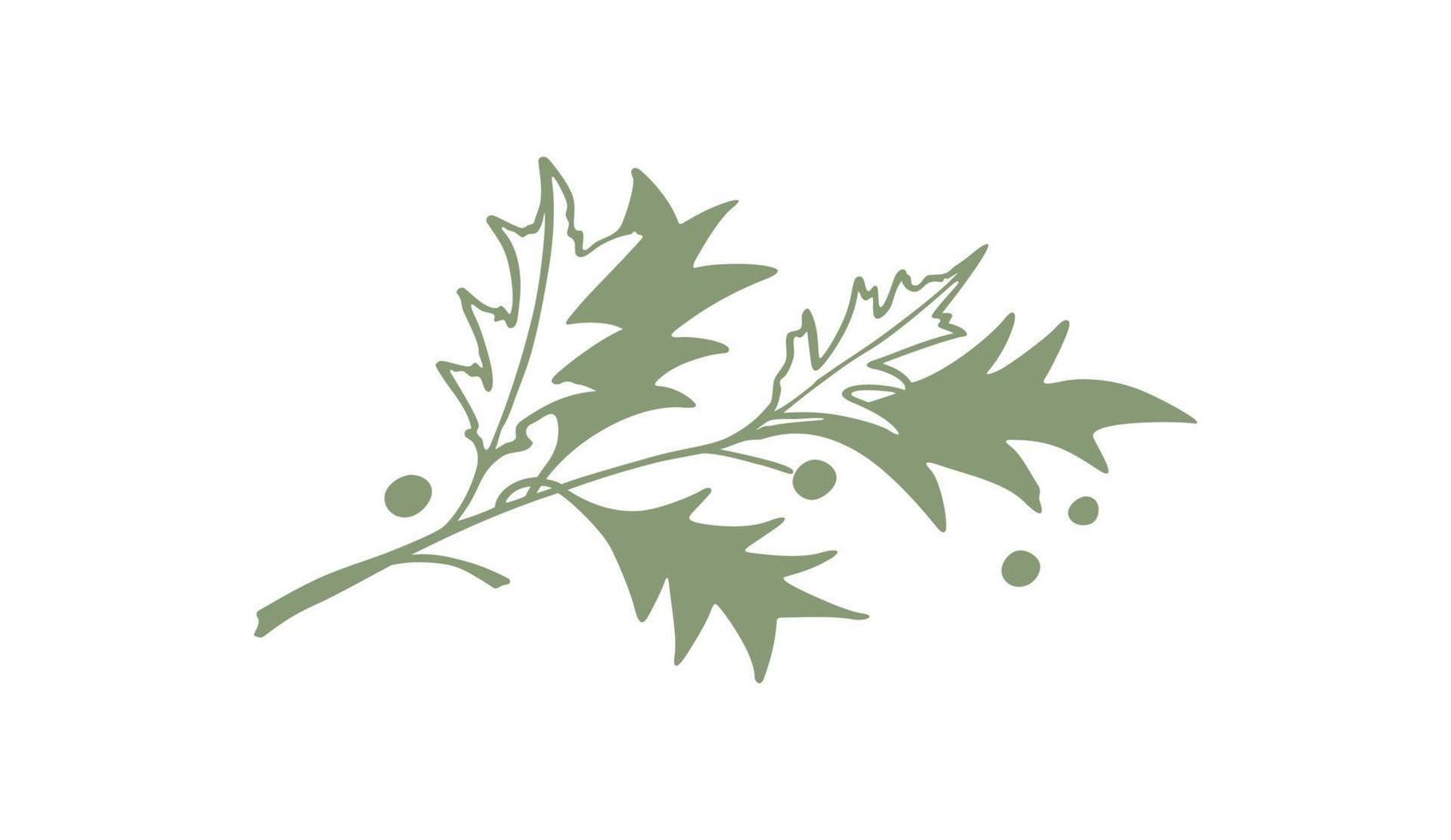 Oak branch with acorns. vector