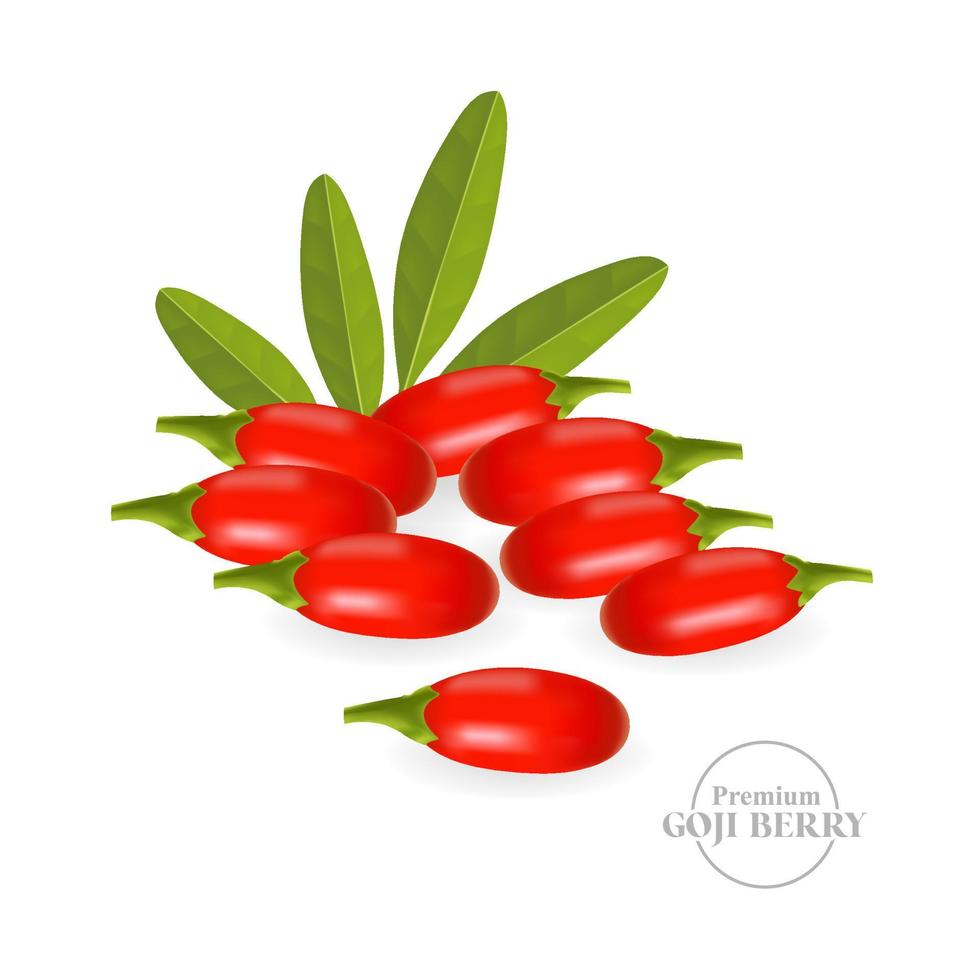 Goji berry serum for skin care package illustration vector