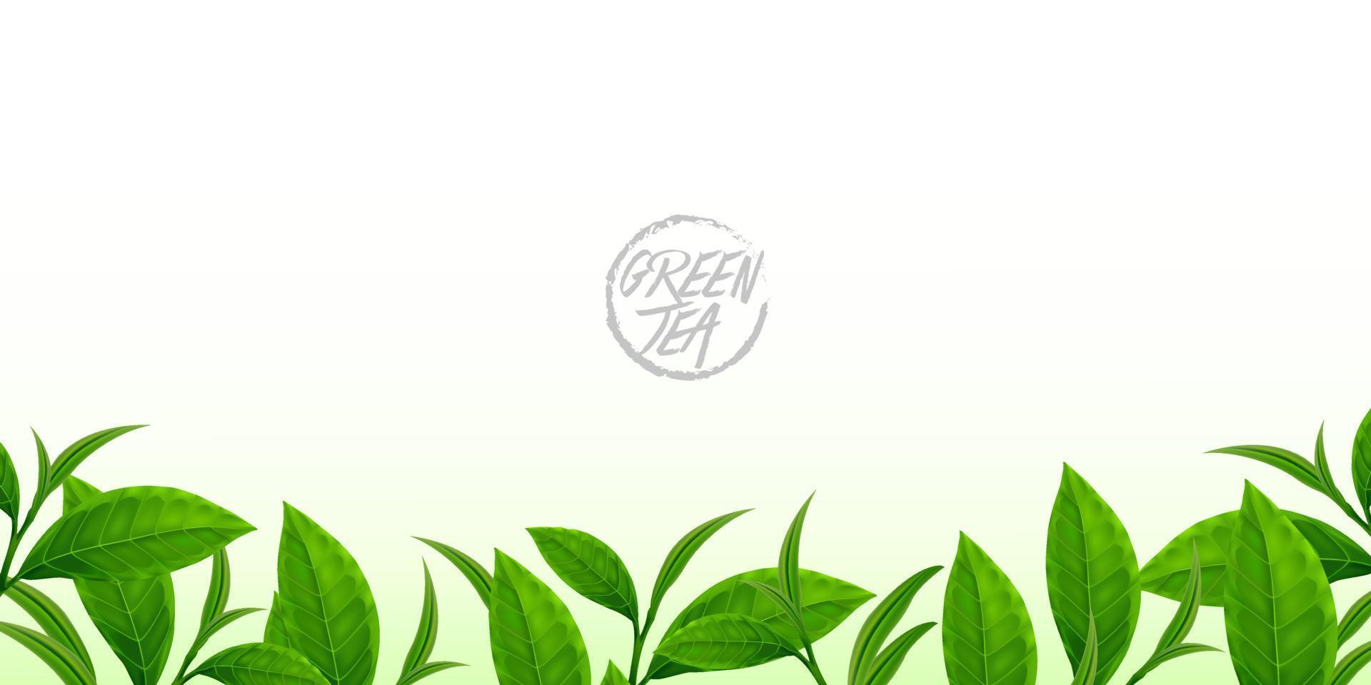 Premium green tea for good health vector illustration.