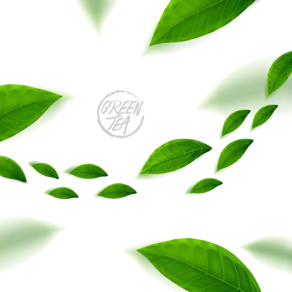 Premium green tea for good health vector illustration.