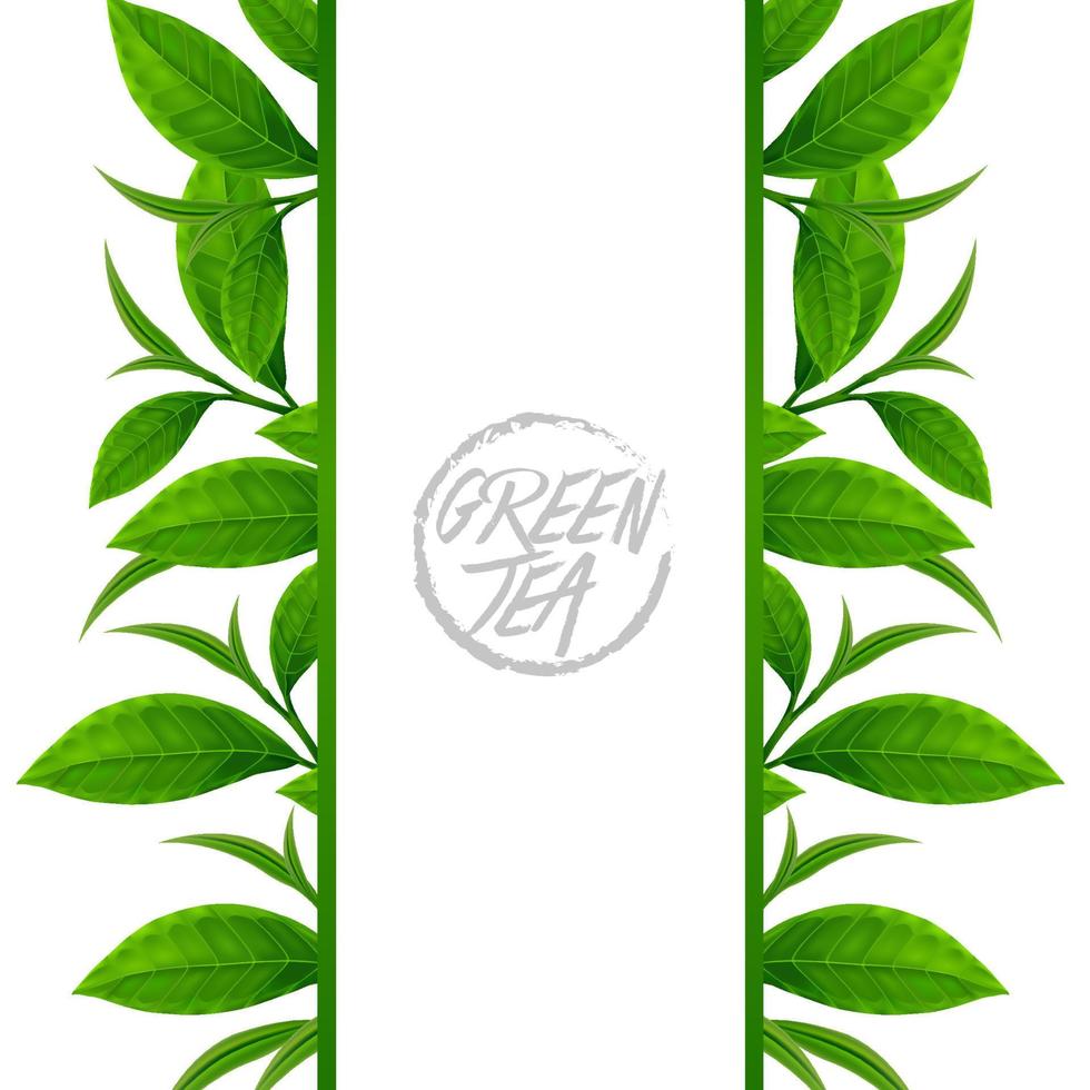 Premium green tea for good health vector illustration.