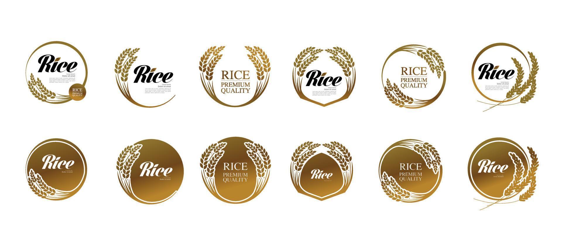 Premium Rice great quality design concept  vector. vector