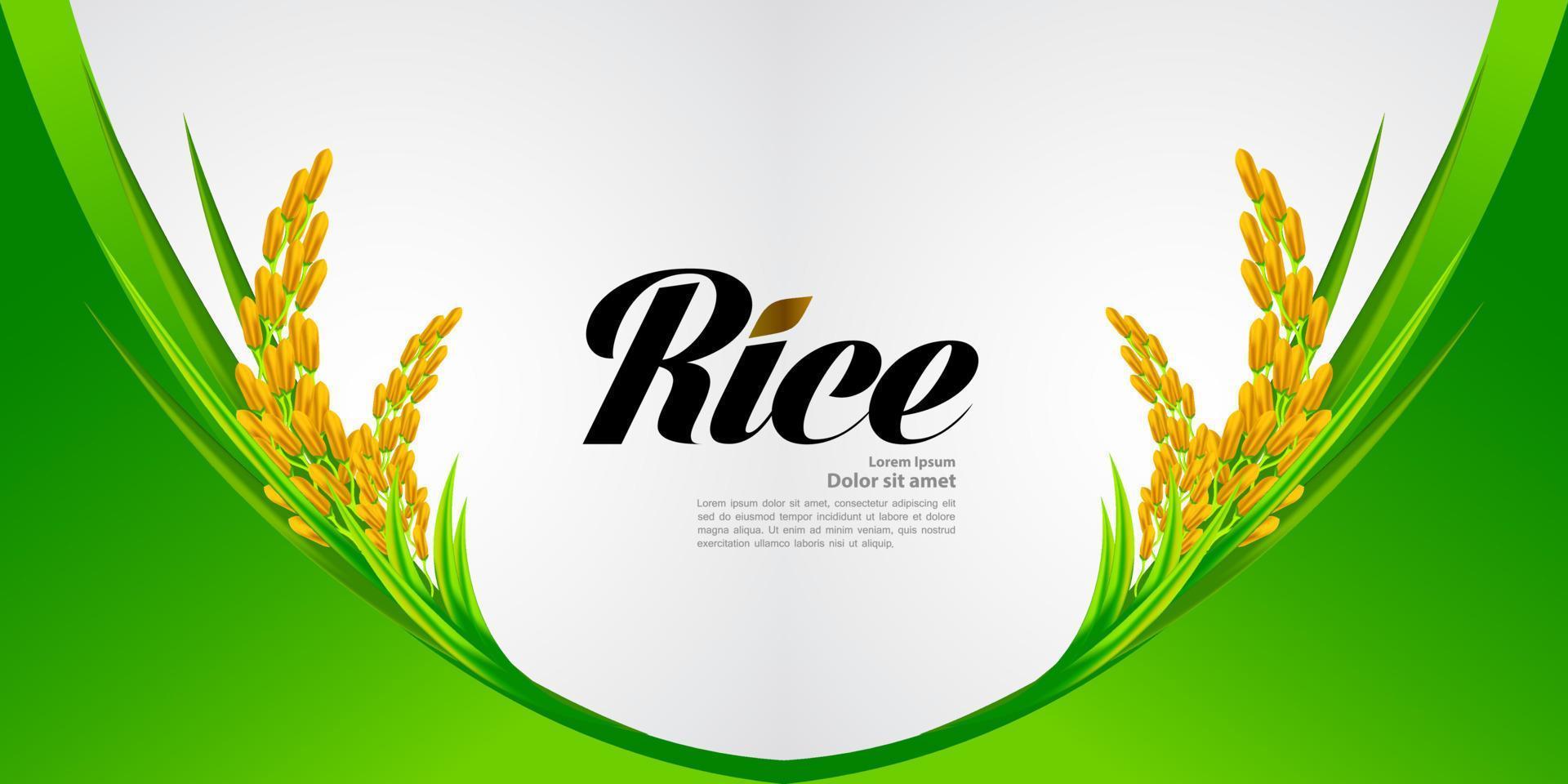 Premium Rice great quality design concept  vector. vector