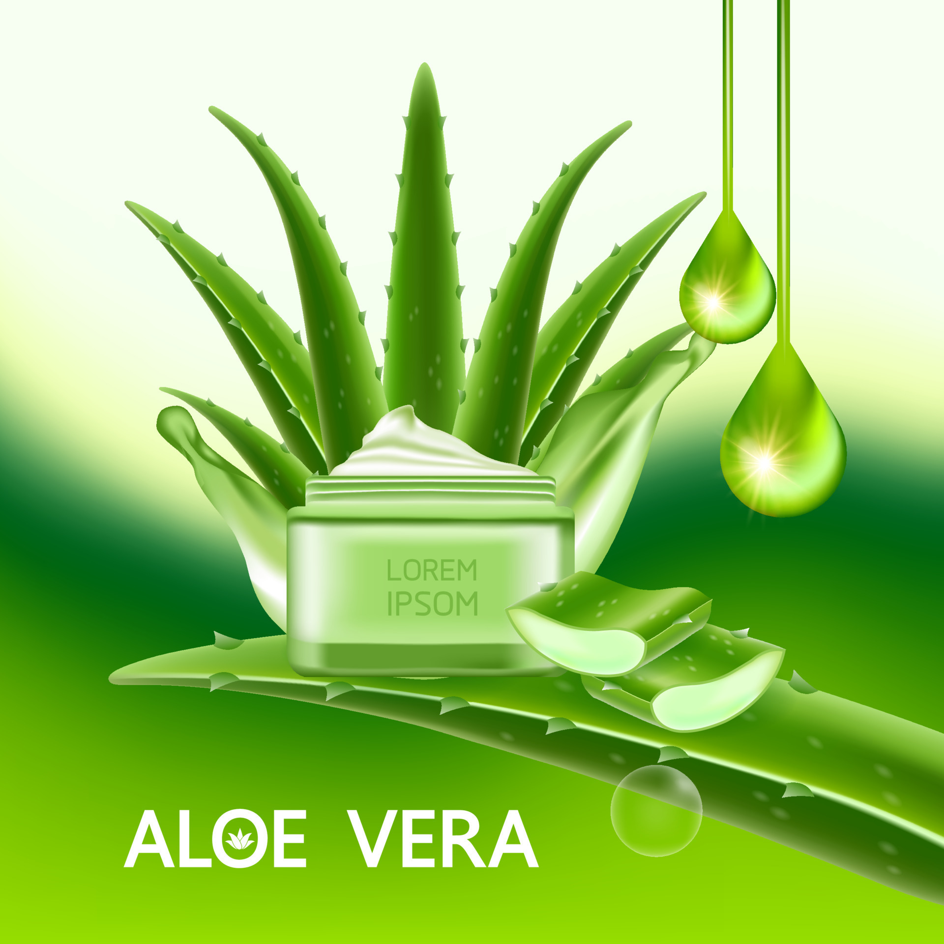 aloe vera collagen and serum for skin care cosmetic vector 21425927