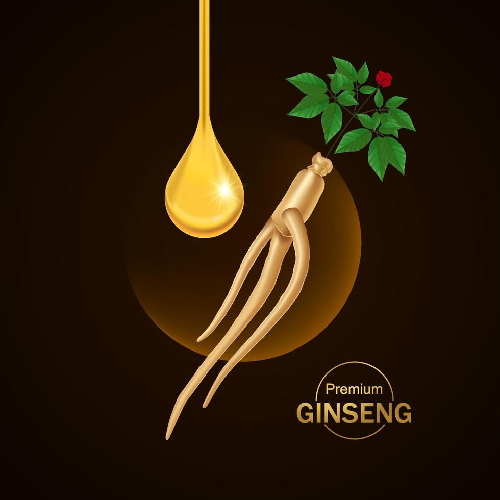 Premium ginseng vector illustration